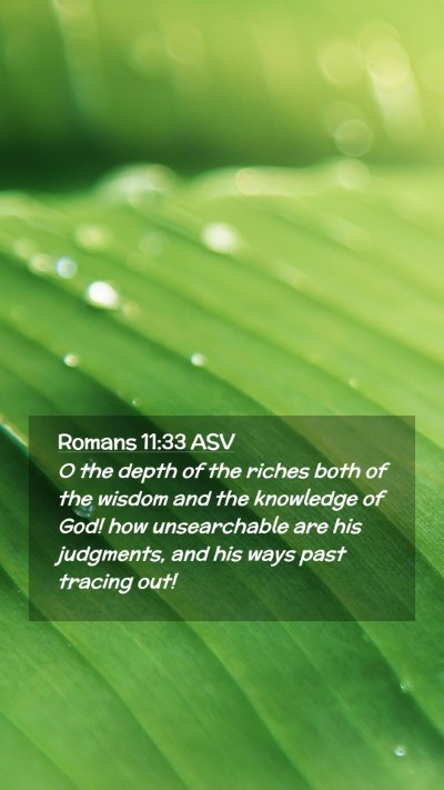 Picture 02 - Romans 11:33 ASV Mobile Phone Wallpaper - O the depth of the riches both of the wisdom and - Mobile Bible Verse Wallpaper