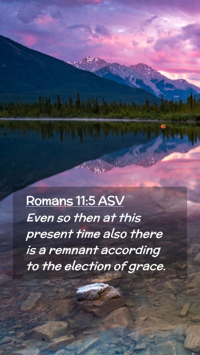 Picture 02 - Romans 11:5 ASV Mobile Phone Wallpaper - Even so then at this present time also there is a - Mobile Bible Verse Wallpaper