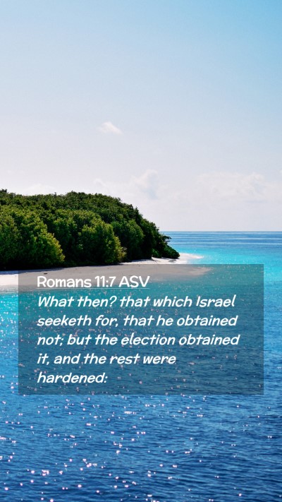 Picture 02 - Romans 11:7 ASV Mobile Phone Wallpaper - What then? that which Israel seeketh for, that he - Mobile Bible Verse Wallpaper