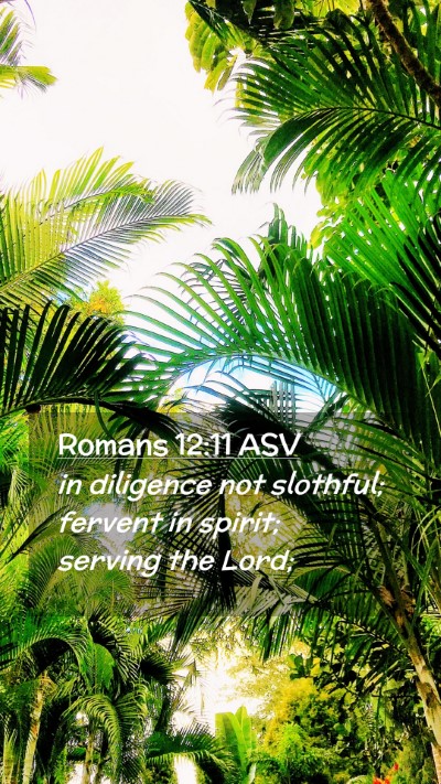 Picture 02 - Romans 12:11 ASV Mobile Phone Wallpaper - in diligence not slothful; fervent in spirit; - Mobile Bible Verse Wallpaper