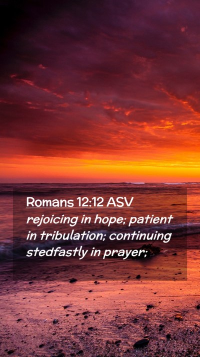 Picture 02 - Romans 12:12 ASV Mobile Phone Wallpaper - rejoicing in hope; patient in tribulation; - Mobile Bible Verse Wallpaper