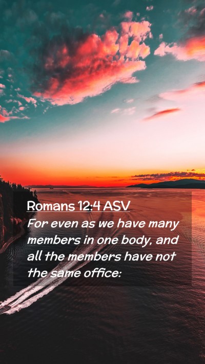 Picture 02 - Romans 12:4 ASV Mobile Phone Wallpaper - For even as we have many members in one body, and - Mobile Bible Verse Wallpaper