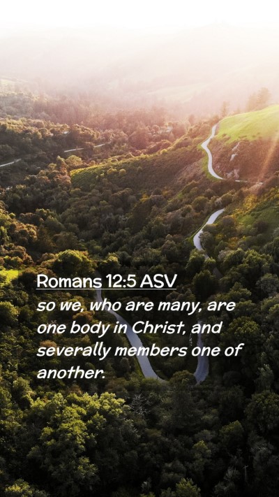 Picture 02 - Romans 12:5 ASV Mobile Phone Wallpaper - so we, who are many, are one body in Christ, and - Mobile Bible Verse Wallpaper