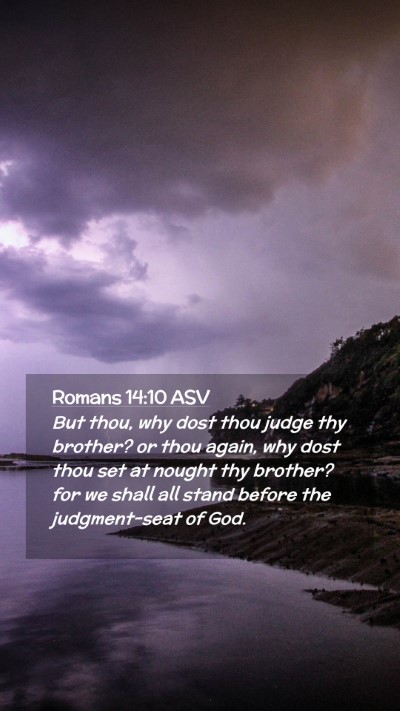 Picture 02 - Romans 14:10 ASV Mobile Phone Wallpaper - But thou, why dost thou judge thy brother? or - Mobile Bible Verse Wallpaper