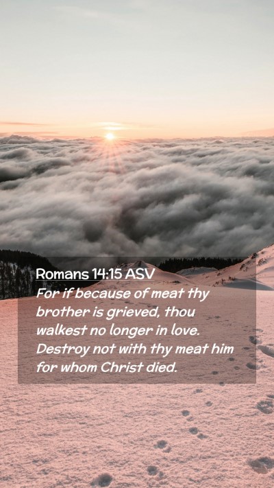 Picture 02 - Romans 14:15 ASV Mobile Phone Wallpaper - For if because of meat thy brother is grieved, - Mobile Bible Verse Wallpaper