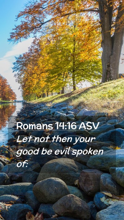 Picture 02 - Romans 14:16 ASV Mobile Phone Wallpaper - Let not then your good be evil spoken - Mobile Bible Verse Wallpaper