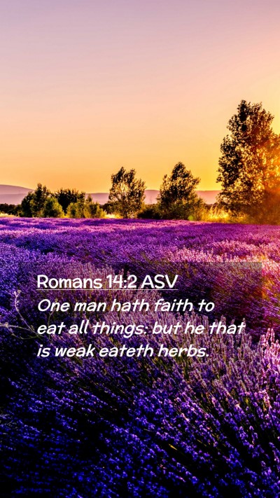 Picture 02 - Romans 14:2 ASV Mobile Phone Wallpaper - One man hath faith to eat all things: but he that - Mobile Bible Verse Wallpaper
