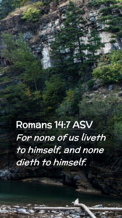Picture 02 - Romans 14:7 ASV Mobile Phone Wallpaper - For none of us liveth to himself, and none dieth - Mobile Bible Verse Wallpaper