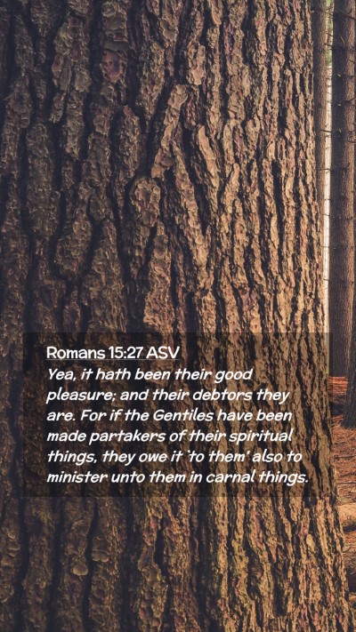 Picture 02 - Romans 15:27 ASV Mobile Phone Wallpaper - Yea, it hath been their good pleasure; and their - Mobile Bible Verse Wallpaper