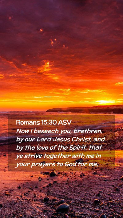 Picture 02 - Romans 15:30 ASV Mobile Phone Wallpaper - Now I beseech you, brethren, by our Lord Jesus - Mobile Bible Verse Wallpaper