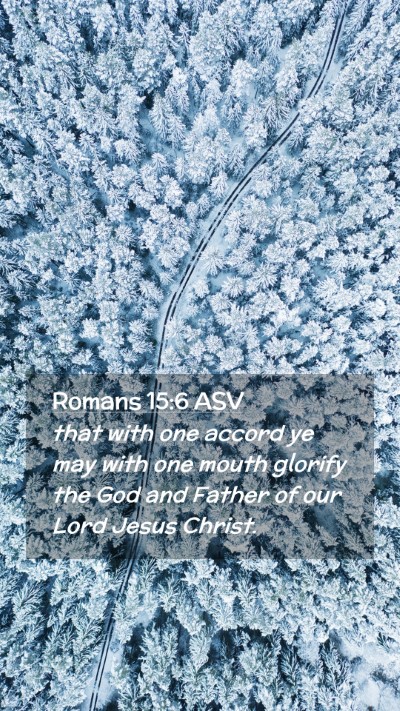 Picture 02 - Romans 15:6 ASV Mobile Phone Wallpaper - that with one accord ye may with one mouth - Mobile Bible Verse Wallpaper