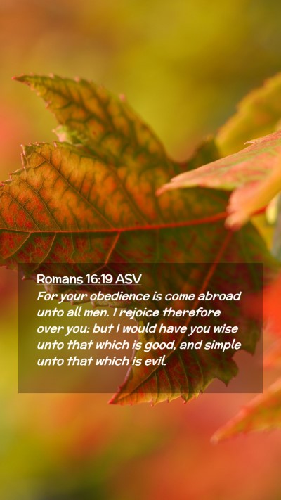 Picture 02 - Romans 16:19 ASV Mobile Phone Wallpaper - For your obedience is come abroad unto all men. I - Mobile Bible Verse Wallpaper