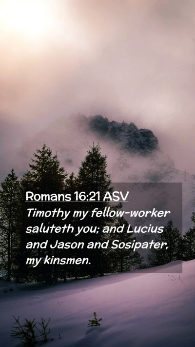 Picture 02 - Romans 16:21 ASV Mobile Phone Wallpaper - Timothy my fellow-worker saluteth you; and Lucius - Mobile Bible Verse Wallpaper