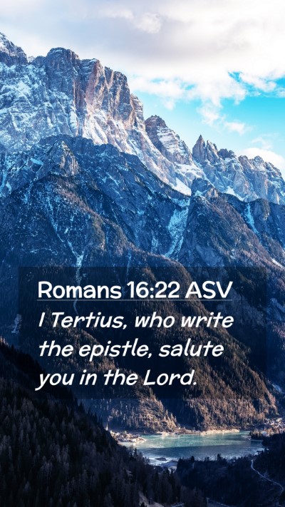 Picture 02 - Romans 16:22 ASV Mobile Phone Wallpaper - I Tertius, who write the epistle, salute you in - Mobile Bible Verse Wallpaper