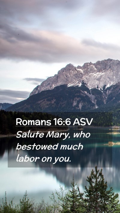 Picture 02 - Romans 16:6 ASV Mobile Phone Wallpaper - Salute Mary, who bestowed much labor on - Mobile Bible Verse Wallpaper
