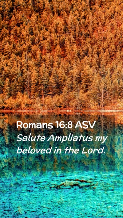 Picture 02 - Romans 16:8 ASV Mobile Phone Wallpaper - Salute Ampliatus my beloved in the - Mobile Bible Verse Wallpaper