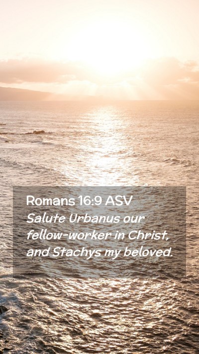 Picture 02 - Romans 16:9 ASV Mobile Phone Wallpaper - Salute Urbanus our fellow-worker in Christ, and - Mobile Bible Verse Wallpaper