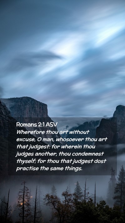 Picture 02 - Romans 2:1 ASV Mobile Phone Wallpaper - Wherefore thou art without excuse, O man, - Mobile Bible Verse Wallpaper