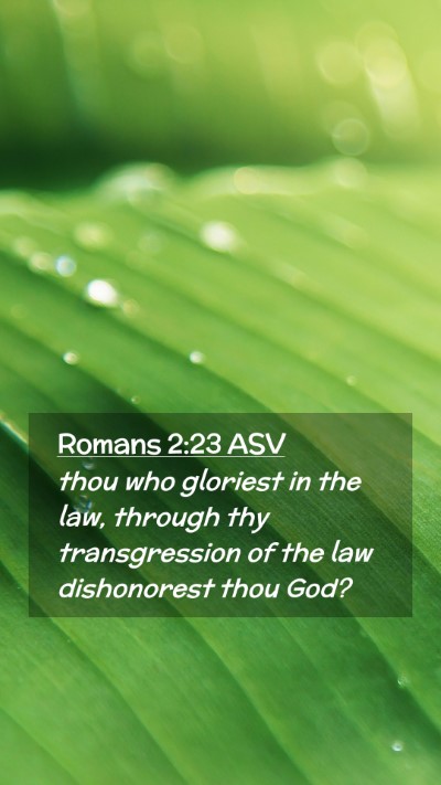Picture 02 - Romans 2:23 ASV Mobile Phone Wallpaper - thou who gloriest in the law, through thy - Mobile Bible Verse Wallpaper