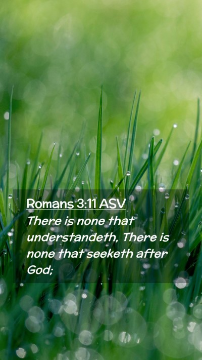 Picture 02 - Romans 3:11 ASV Mobile Phone Wallpaper - There is none that understandeth, There is none - Mobile Bible Verse Wallpaper