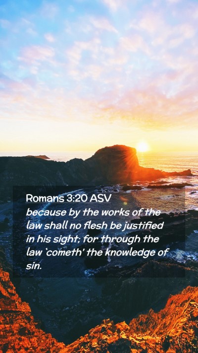 Picture 02 - Romans 3:20 ASV Mobile Phone Wallpaper - because by the works of the law shall no flesh be - Mobile Bible Verse Wallpaper
