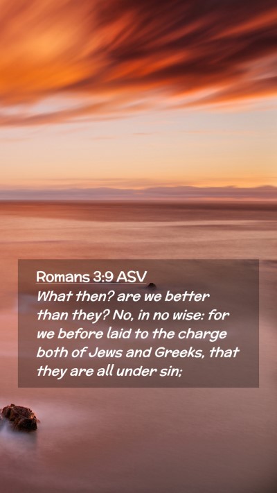 Picture 02 - Romans 3:9 ASV Mobile Phone Wallpaper - What then? are we better than they? No, in no - Mobile Bible Verse Wallpaper