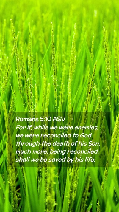 Picture 02 - Romans 5:10 ASV Mobile Phone Wallpaper - For if, while we were enemies, we were reconciled - Mobile Bible Verse Wallpaper