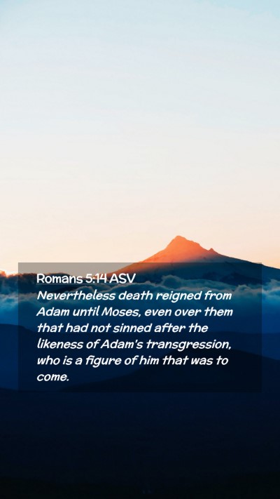 Picture 02 - Romans 5:14 ASV Mobile Phone Wallpaper - Nevertheless death reigned from Adam until Moses, - Mobile Bible Verse Wallpaper