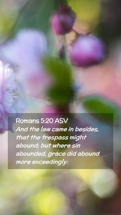 Picture 02 - Romans 5:20 ASV Mobile Phone Wallpaper - And the law came in besides, that the trespass - Mobile Bible Verse Wallpaper