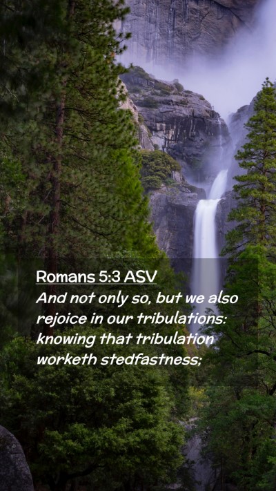 Picture 02 - Romans 5:3 ASV Mobile Phone Wallpaper - And not only so, but we also rejoice in our - Mobile Bible Verse Wallpaper