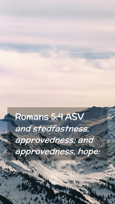 Picture 02 - Romans 5:4 ASV Mobile Phone Wallpaper - and stedfastness, approvedness; and approvedness, - Mobile Bible Verse Wallpaper