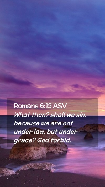 Picture 02 - Romans 6:15 ASV Mobile Phone Wallpaper - What then? shall we sin, because we are not under - Mobile Bible Verse Wallpaper