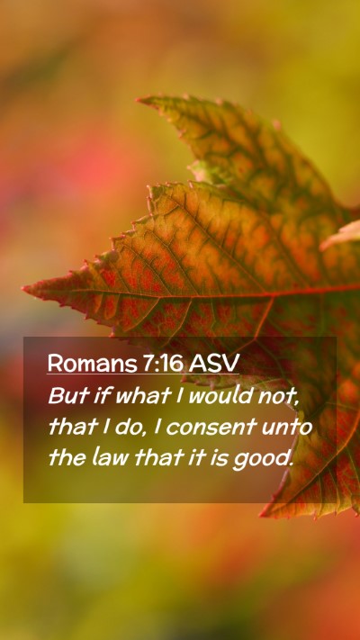 Picture 02 - Romans 7:16 ASV Mobile Phone Wallpaper - But if what I would not, that I do, I consent - Mobile Bible Verse Wallpaper