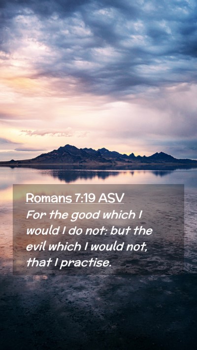 Picture 02 - Romans 7:19 ASV Mobile Phone Wallpaper - For the good which I would I do not: but the evil - Mobile Bible Verse Wallpaper
