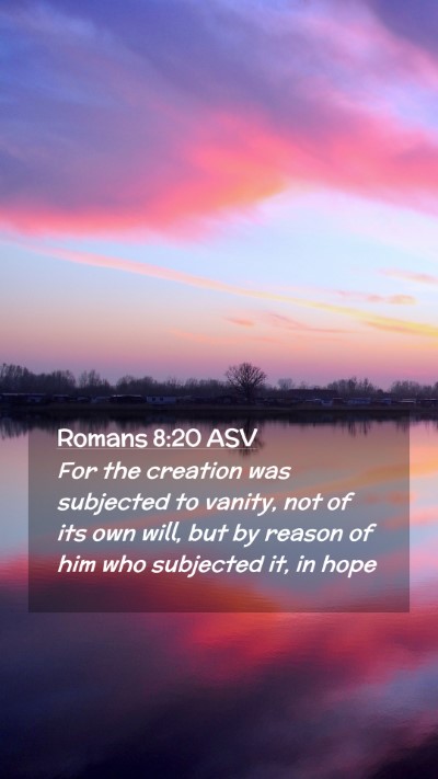 Picture 02 - Romans 8:20 ASV Mobile Phone Wallpaper - For the creation was subjected to vanity, not of - Mobile Bible Verse Wallpaper