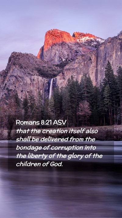 Picture 02 - Romans 8:21 ASV Mobile Phone Wallpaper - that the creation itself also shall be delivered - Mobile Bible Verse Wallpaper