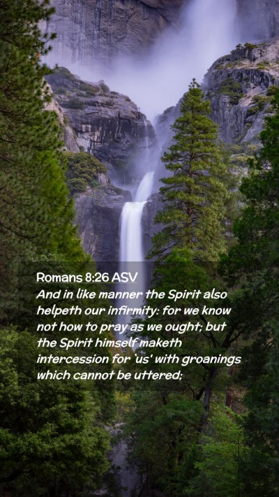 Picture 02 - Romans 8:26 ASV Mobile Phone Wallpaper - And in like manner the Spirit also helpeth our - Mobile Bible Verse Wallpaper