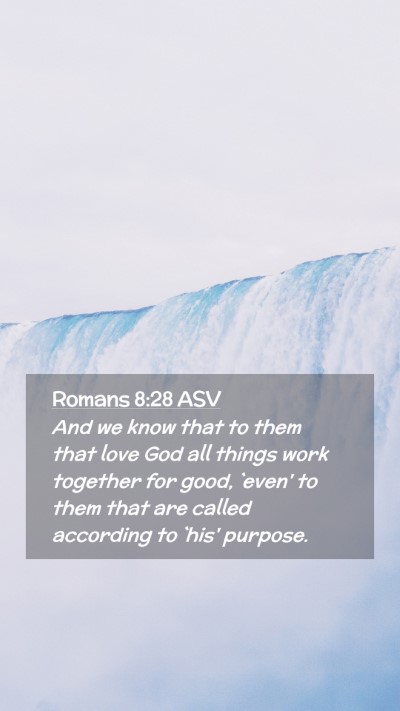 Picture 02 - Romans 8:28 ASV Mobile Phone Wallpaper - And we know that to them that love God all things - Mobile Bible Verse Wallpaper