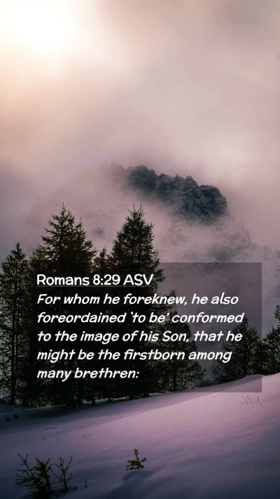 Picture 02 - Romans 8:29 ASV Mobile Phone Wallpaper - For whom he foreknew, he also foreordained `to - Mobile Bible Verse Wallpaper