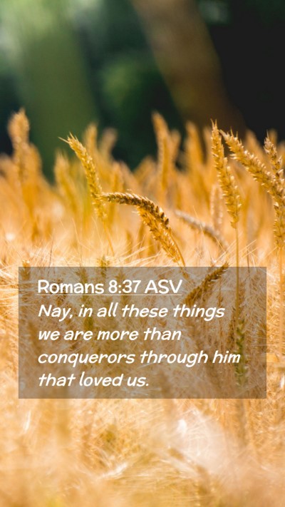 Picture 02 - Romans 8:37 ASV Mobile Phone Wallpaper - Nay, in all these things we are more than - Mobile Bible Verse Wallpaper