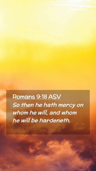 Picture 02 - Romans 9:18 ASV Mobile Phone Wallpaper - So then he hath mercy on whom he will, and whom - Mobile Bible Verse Wallpaper