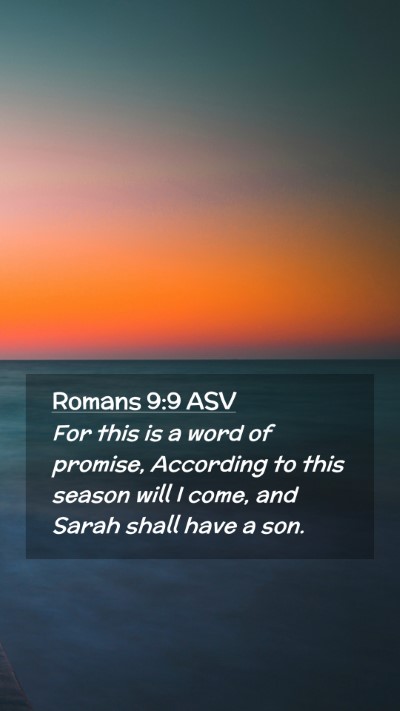 Picture 02 - Romans 9:9 ASV Mobile Phone Wallpaper - For this is a word of promise, According to this - Mobile Bible Verse Wallpaper