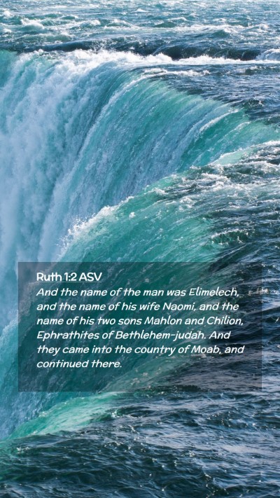 Picture 02 - Ruth 1:2 ASV Mobile Phone Wallpaper - And the name of the man was Elimelech, and the - Mobile Bible Verse Wallpaper