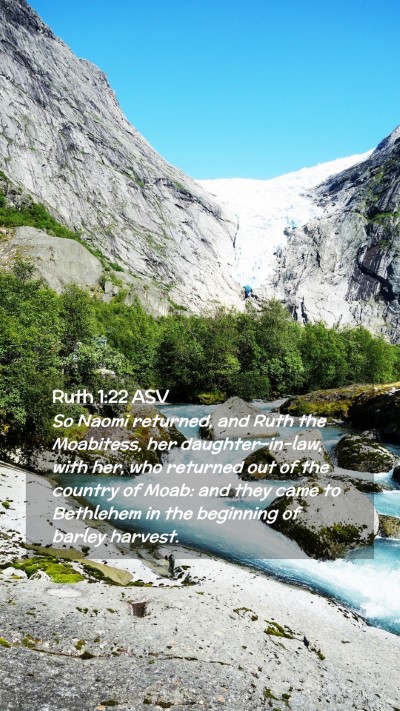 Picture 02 - Ruth 1:22 ASV Mobile Phone Wallpaper - So Naomi returned, and Ruth the Moabitess, her - Mobile Bible Verse Wallpaper