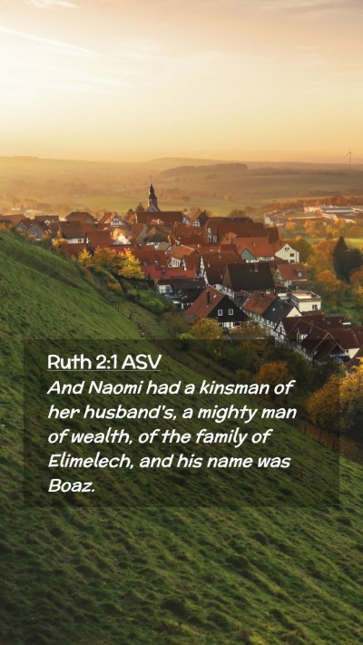 Picture 02 - Ruth 2:1 ASV Mobile Phone Wallpaper - And Naomi had a kinsman of her husband's, a - Mobile Bible Verse Wallpaper