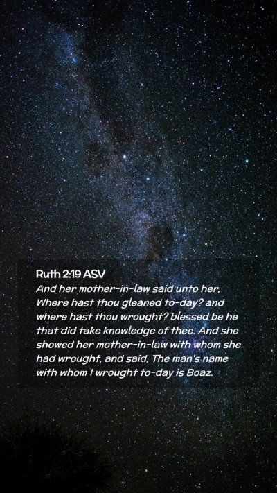 Picture 02 - Ruth 2:19 ASV Mobile Phone Wallpaper - And her mother-in-law said unto her, Where hast - Mobile Bible Verse Wallpaper