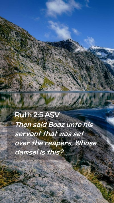 Picture 02 - Ruth 2:5 ASV Mobile Phone Wallpaper - Then said Boaz unto his servant that was set over - Mobile Bible Verse Wallpaper