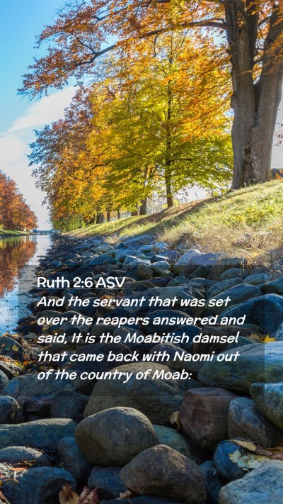 Picture 02 - Ruth 2:6 ASV Mobile Phone Wallpaper - And the servant that was set over the reapers - Mobile Bible Verse Wallpaper