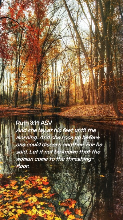 Picture 02 - Ruth 3:14 ASV Mobile Phone Wallpaper - And she lay at his feet until the morning. And - Mobile Bible Verse Wallpaper