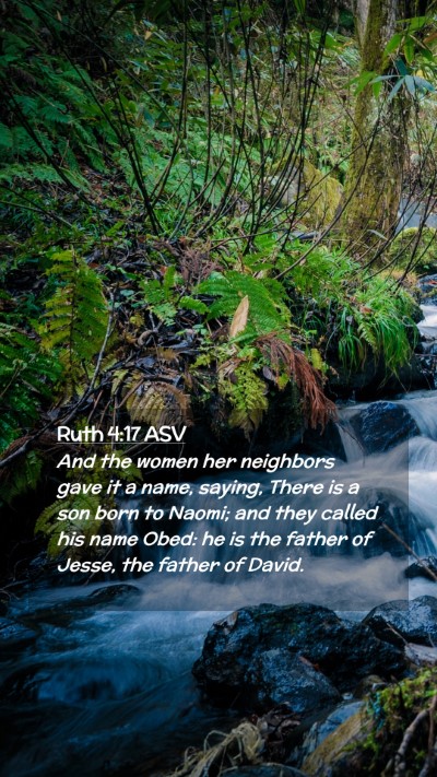 Picture 02 - Ruth 4:17 ASV Mobile Phone Wallpaper - And the women her neighbors gave it a name, - Mobile Bible Verse Wallpaper